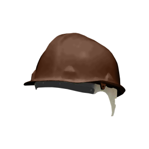 Safety Helmets - Brown, One Size